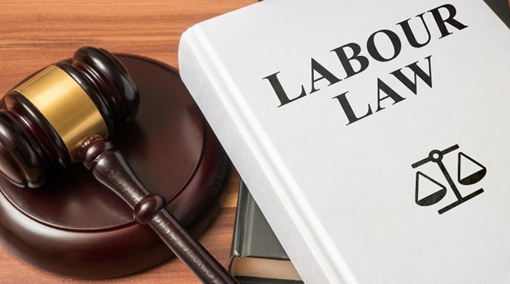 At Legal-Acumen, Our employment attorneys have very strong and disciplined teamwork. We prioritize systematic dealing with labour law issues, which include but are not limited to obtaining